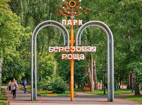 Где в Дзержинском районе Новосибирска планируется КРТ